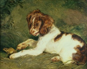 A Puppy teasing a Frog, 1824